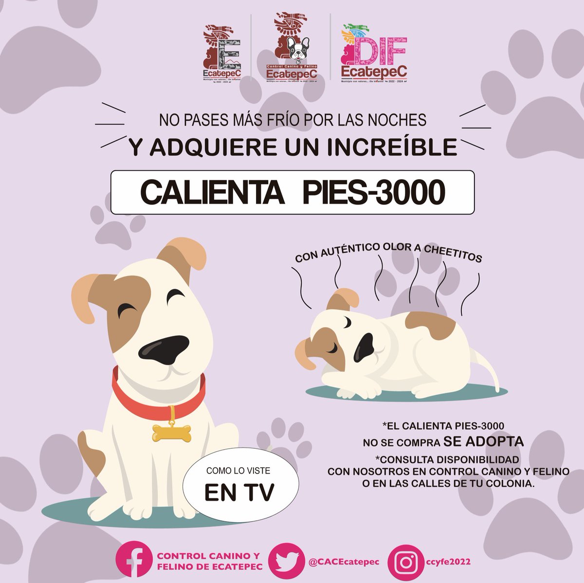 #Adopción | Recuerda que con nosotros puedes adquirir a tu calienta Pies-3000, acércate y pregunta por nuestro programa de adopción. 🐾💖 

#DIFEcatepec #MunicipioConValores #AdoptaUnAmigo