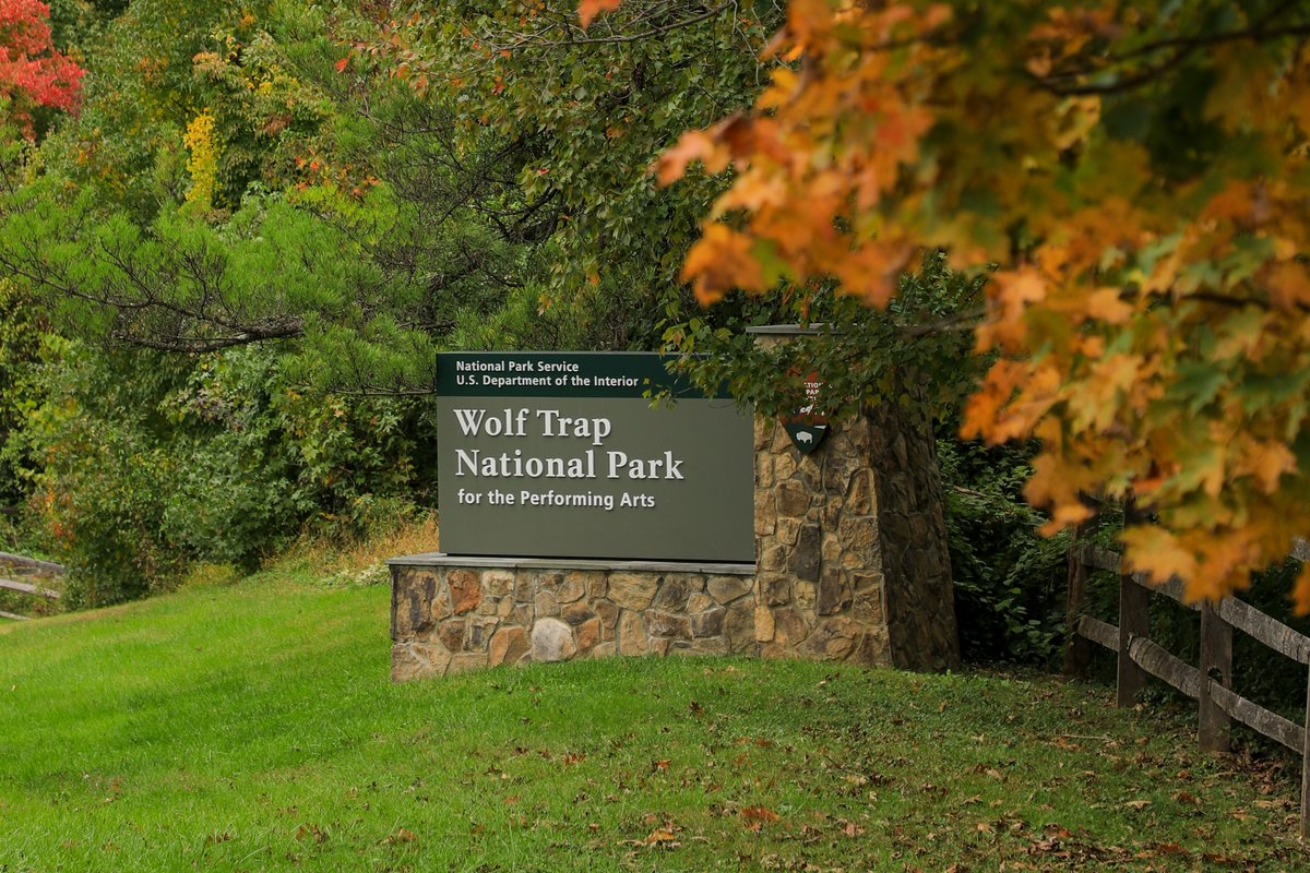 Wolf_Trap_NPS's tweet image. Who says overcast days don't have color? 🍂☁️🍁

Located only 30 mins from D.C., our park is free to enter &amp;amp; is open from sunrise to dusk daily! Be sure to stop by for your annual "leaf peeping" family outing 😏📸

NPS Photos

#FallFoliage #LeafPeeping #DC #NorthVirginia