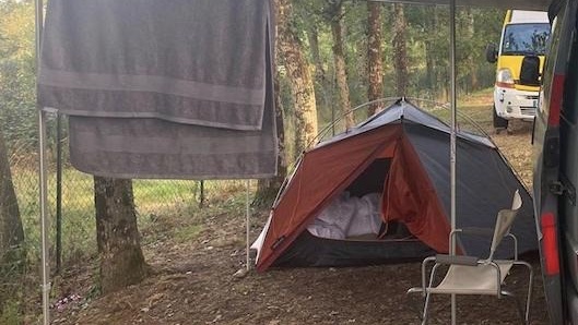 Jayne McCubbin tweet media