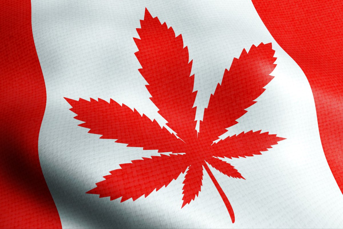 Diplomat Consulting tweet media