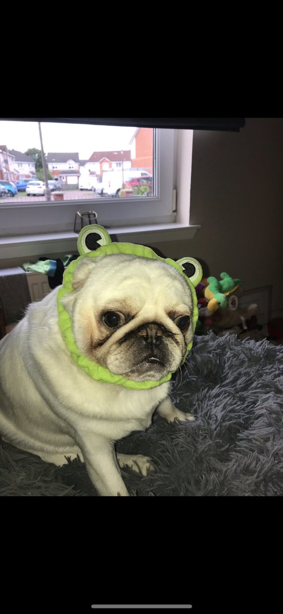 lorraine burns tweet media