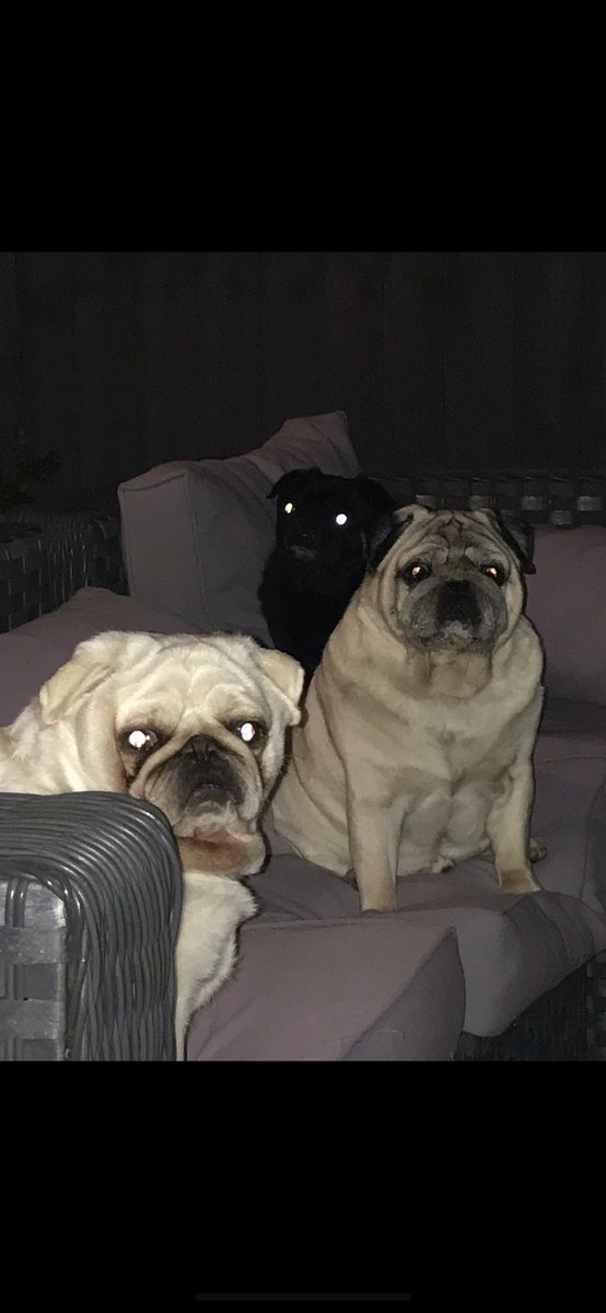 lorraine burns tweet media