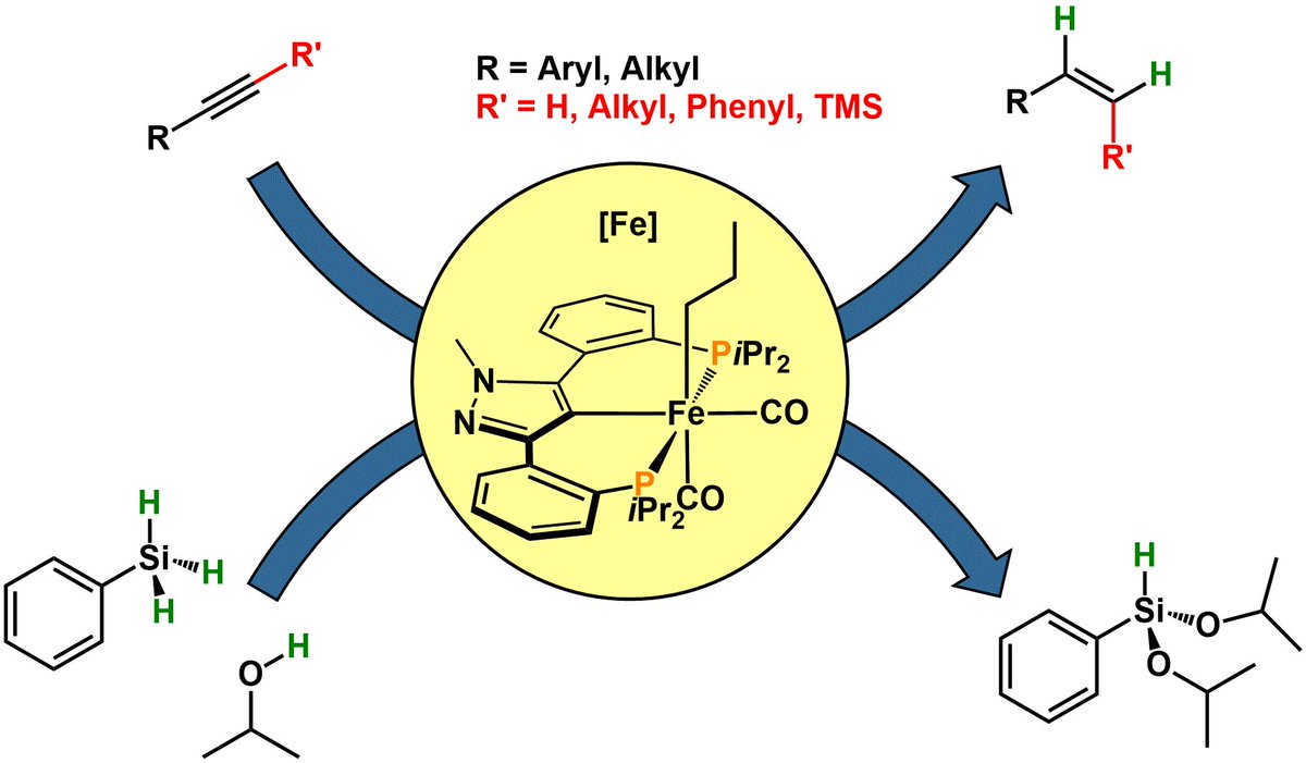Fe(II) alkyl carbonyl pincer complexes in catalysis. Pre-catalyst activation initiated by migration of the alkyl ligand. Selective Transfer-Semihydrogenation under Mild Conditions. Check out our latest paper from @Kirchner_Lab @Orgmet_ACS. doi.org/10.1021/acscat….
