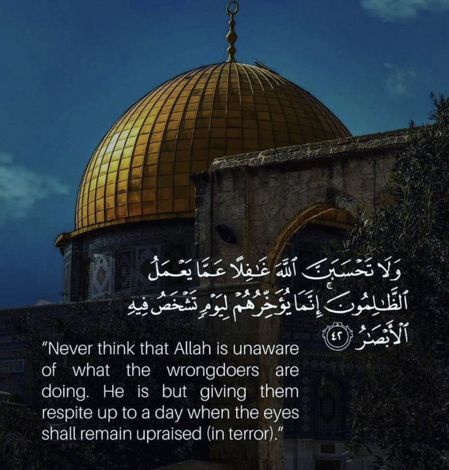 حسبنا الله ونعم الوكيل..حسبنا الله ونعم الوكيل..حسبنا الله ونعم الوكيل
استودعناك اللهم #فلسطين وأهلها، آمن روعهم، وسكن فزعهم، واجبر مصابهم، اللهم احفظهم ونجيهم وانصرهم إنك على كل شيء قدير، اللهم ارحمهم بعطفك ورحمتك، لا حول ولا قوة إلا بك