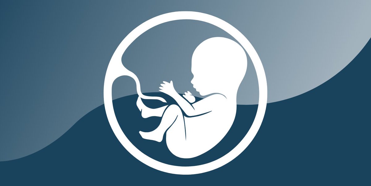 Hudson Institute of Medical Research (@hudson_research) on Twitter photo "Conversations Around Difficult Births" is a FREE public forum discussing #Stillbirth, #BirthAsphyxia & #Birth trauma.🫄🏼💙
📅 6–8pm, Thursday, 19 October
📍 Park Royal Monash, 872 Blackburn Road, Clayton, Melbourne
Register: bit.ly/464YAtS
<a href="/RitchieCentre/">The Ritchie Centre</a> <a href="/MonashUni/">Monash University</a> "Conversations Around Difficult Births" is a FREE public forum discussing #Stillbirth, #BirthAsphyxia & #Birth trauma.🫄🏼💙
📅 6–8pm, Thursday, 19 October
📍 Park Royal Monash, 872 Blackburn Road, Clayton, Melbourne
Register: bit.ly/464YAtS
<a href="/RitchieCentre/">The Ritchie Centre</a> <a href="/MonashUni/">Monash University</a>