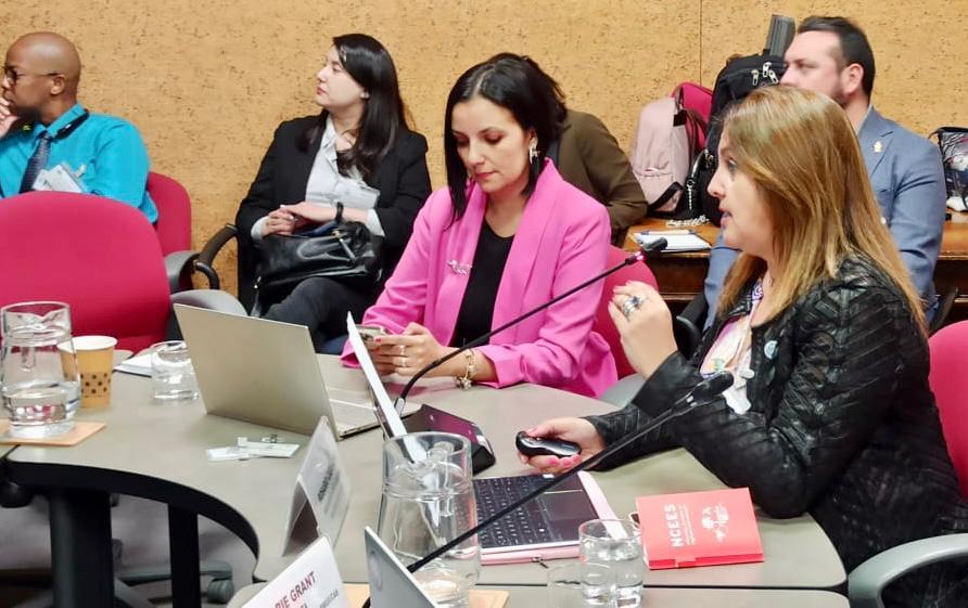 Nuestra Directora de Vinculación, Macarena Pérez, se encuentra participando en la décima versión del Comité Regional de las Naciones Unidas sobre Gestión Global de Información Geoespacial para las Américas (UN-GGIM: Américas).