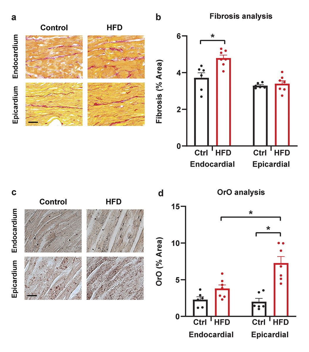 Journal of General Physiology tweet media