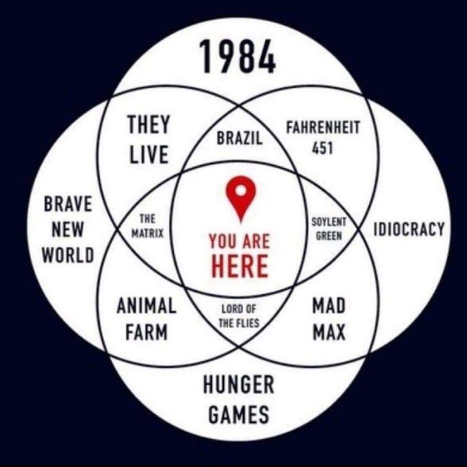NedDunkleberger's tweet photo. https://t.co/gvyVMVPUnk
