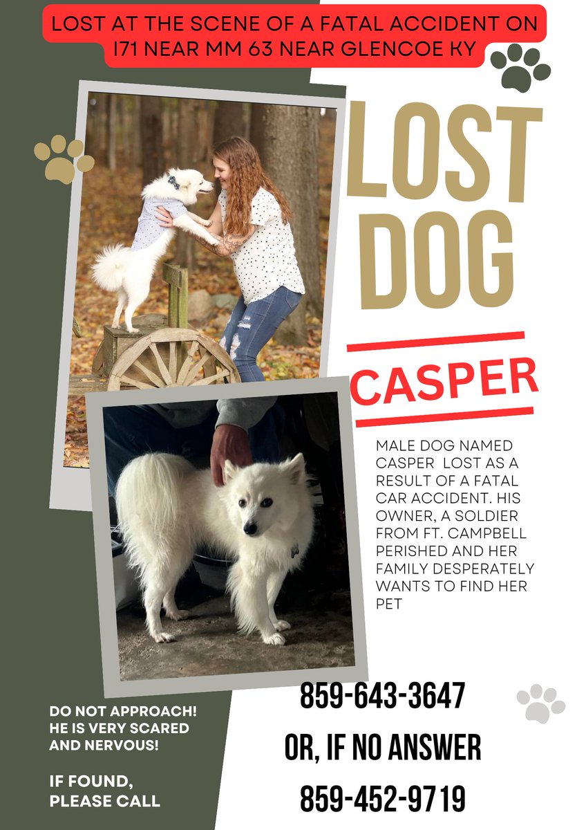 Please share! If you are in KY near Glencoe please feel free to print this and post it! Let's get Casper home to his family! 
#ftcampbellky #militaryfamily #militarypets #militaryveterans #lostpets #lostdogs