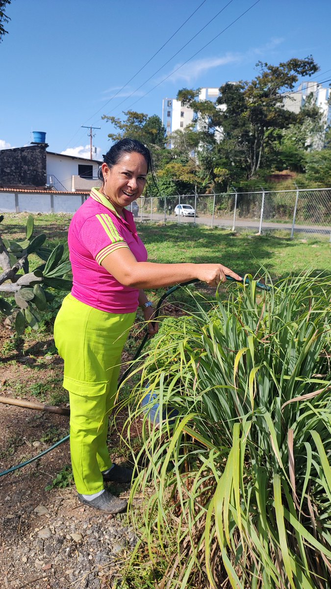 CeiLeones's tweet photo. Limpieza del huerto,riego de las plantas, quedo listo para sembrar.
@_LaAvanzadora 
@Berzabethg1 
@CDCETachira 
@01Ptmstachira https://t.co/GZw5Sqhhvb