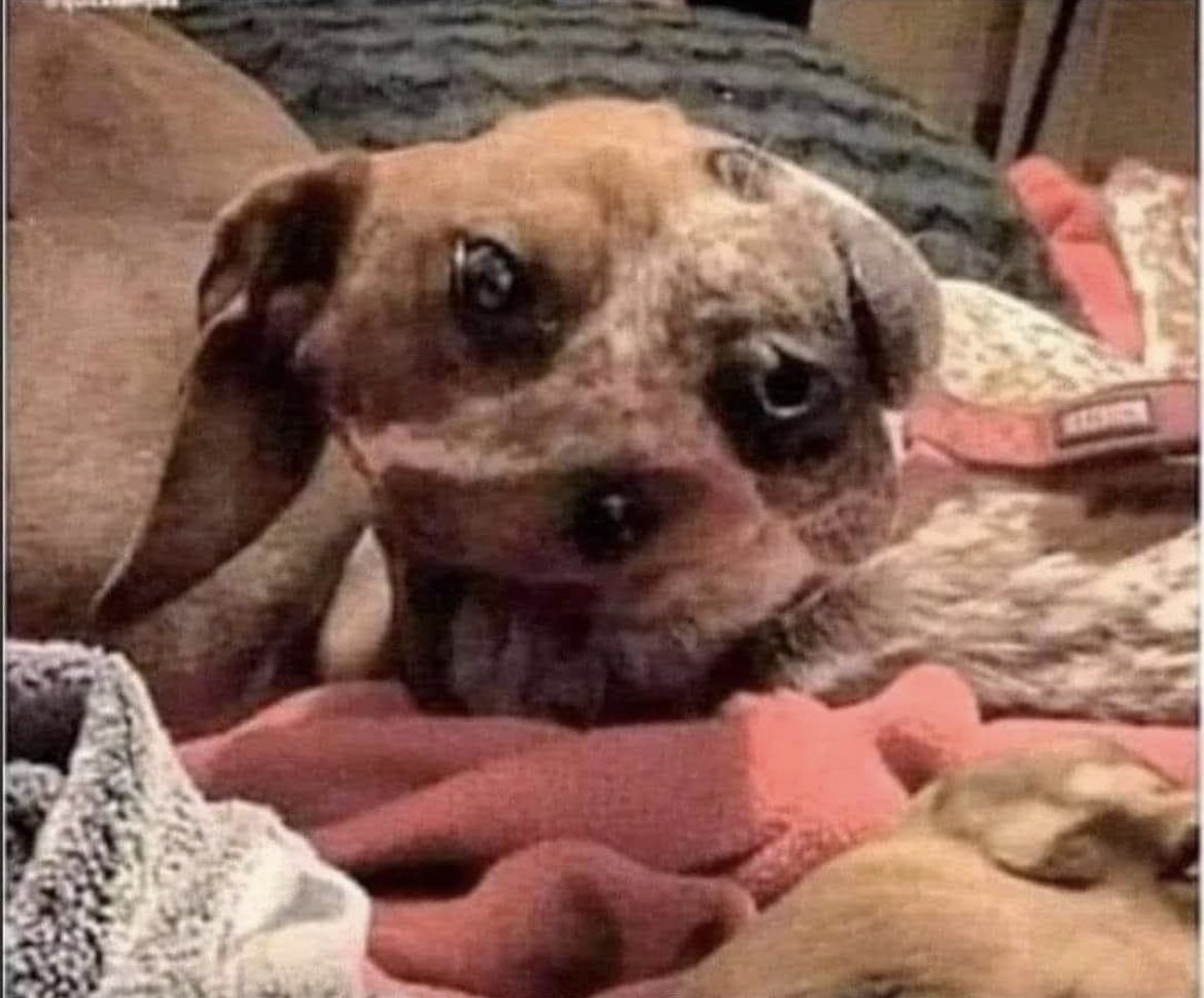 EarthyBalance's tweet image. It took me a few minutes to figure this out. I had to turn the picture lol