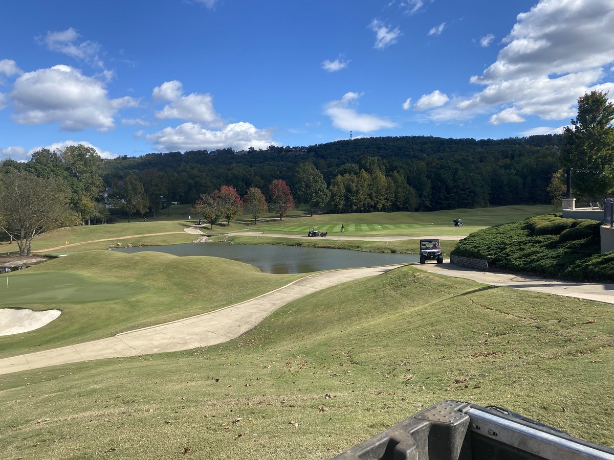 Travis Cook tweet media