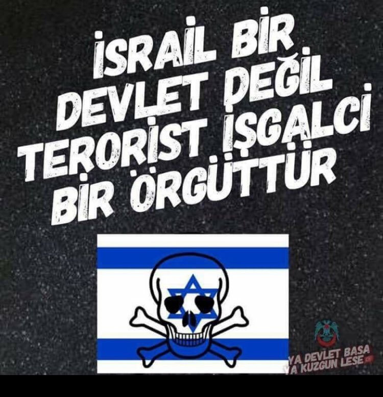 TERÖR ÖRGÜTÜ İLE HER TÜRLÜ DİPLOMATİK İLİŞKİ KESİLMELİDİR. BM KARARLARINI TANIMAYAN,HUKUKU VE İNSANLIK DEĞERLERİNİ ÇİĞNEYEN TERÖR ÖRGÜTÜNE ANLAYACAĞI DİLDEN CEVAP VERİLMELİDİR!