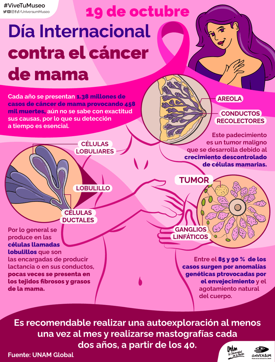 UniversumMuseo's tweet photo. #UnDíaComoHoy es el Día Internacional de la Lucha contra el Cáncer de Mama 👊🏽🩷

La información y las revisiones médicas periódicas son la mejor forma de prevenir, ¡cuidémonos! 🩺🫂

#ViveTuMuseo https://t.co/qrUwRpVUDb