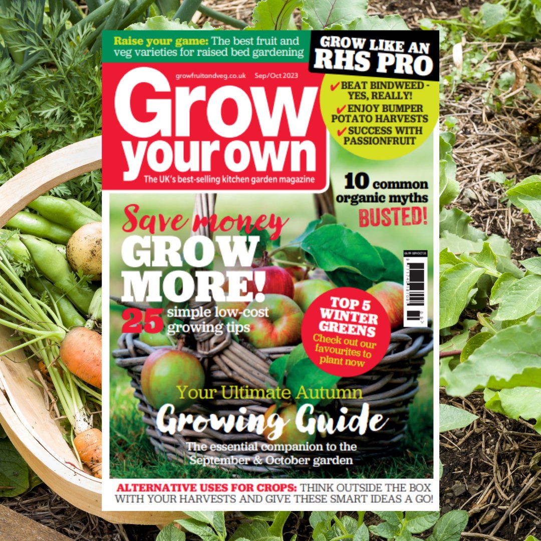 Have you got your copy of our latest issue yet? Make sure you pick it up for your ultimate autumn growing guide!