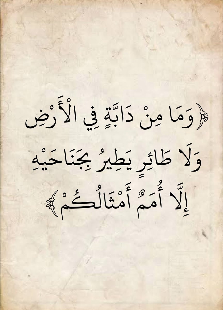 المُصْحَف (@almosahf) on Twitter photo 