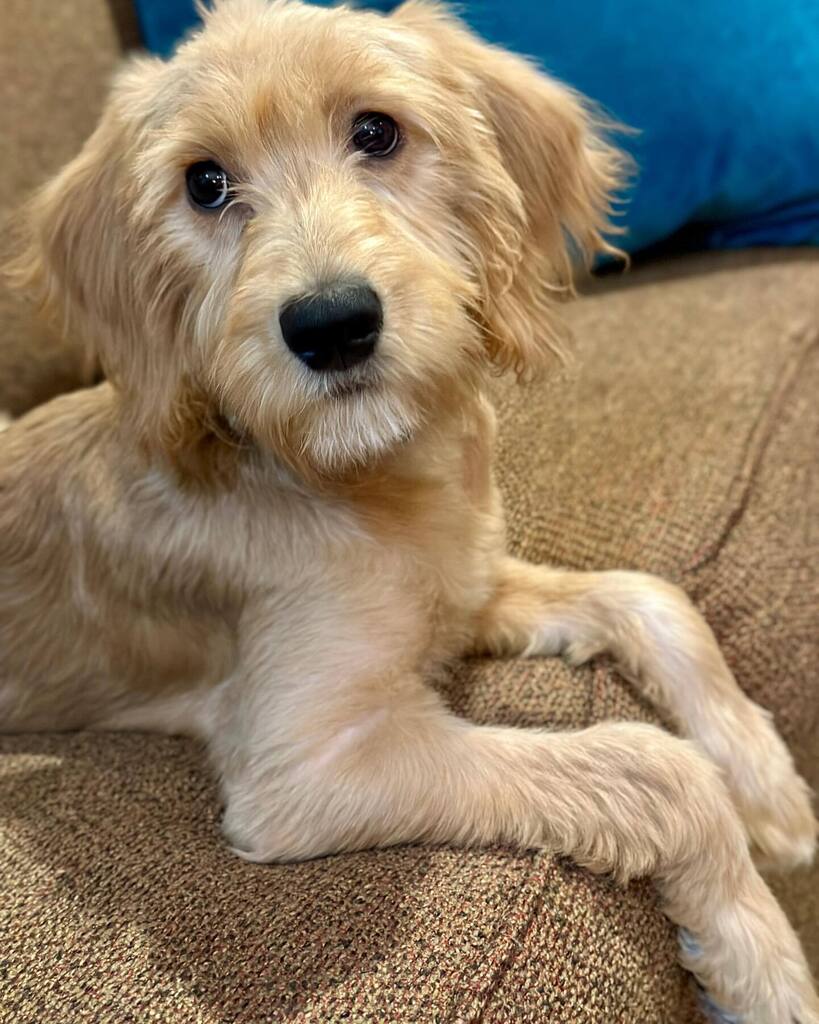 Heather Asbell tweet media