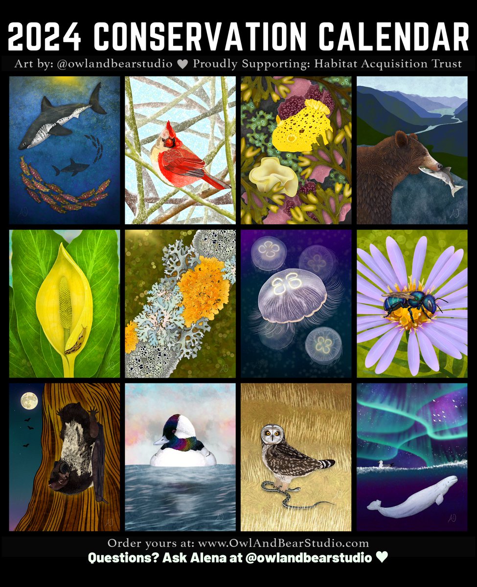 Alena Ebeling-Schuld (Owl & Bear Studio) tweet media