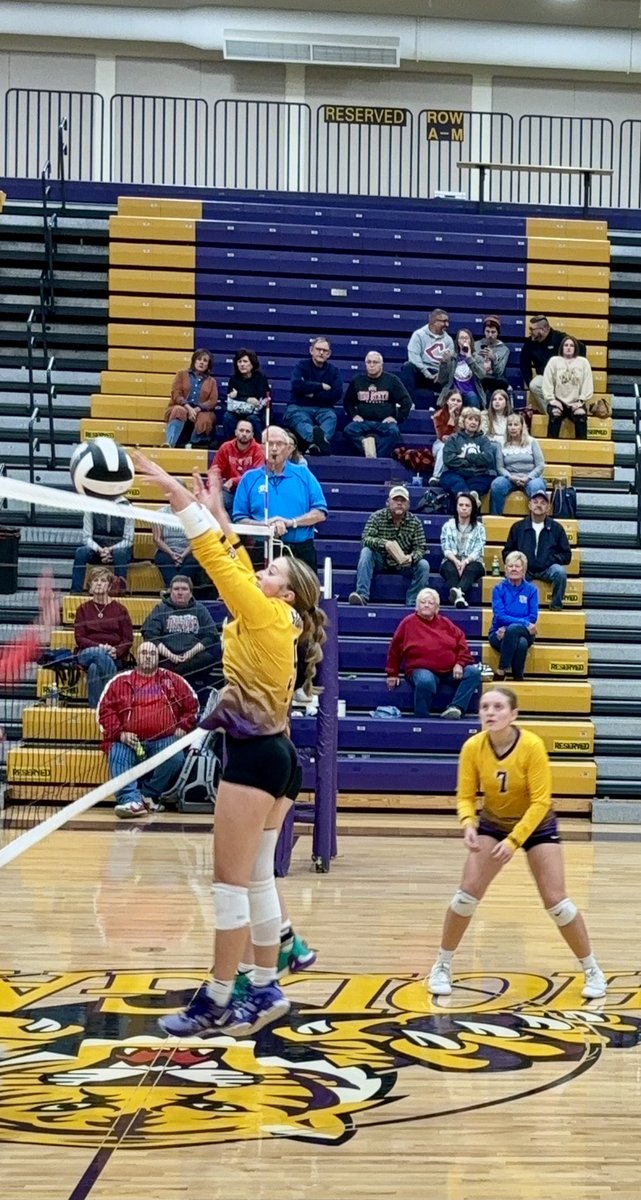 Holgate Athletics tweet media