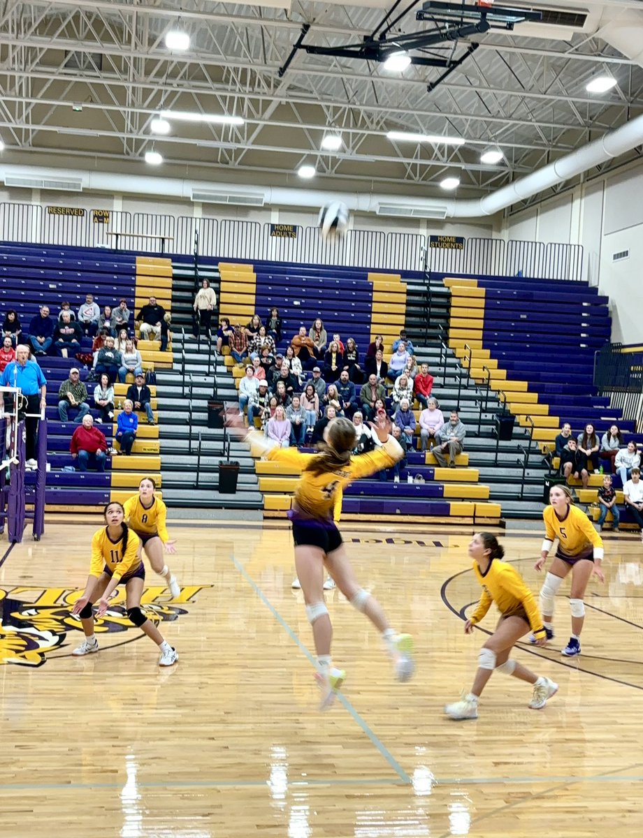 Holgate Athletics tweet media