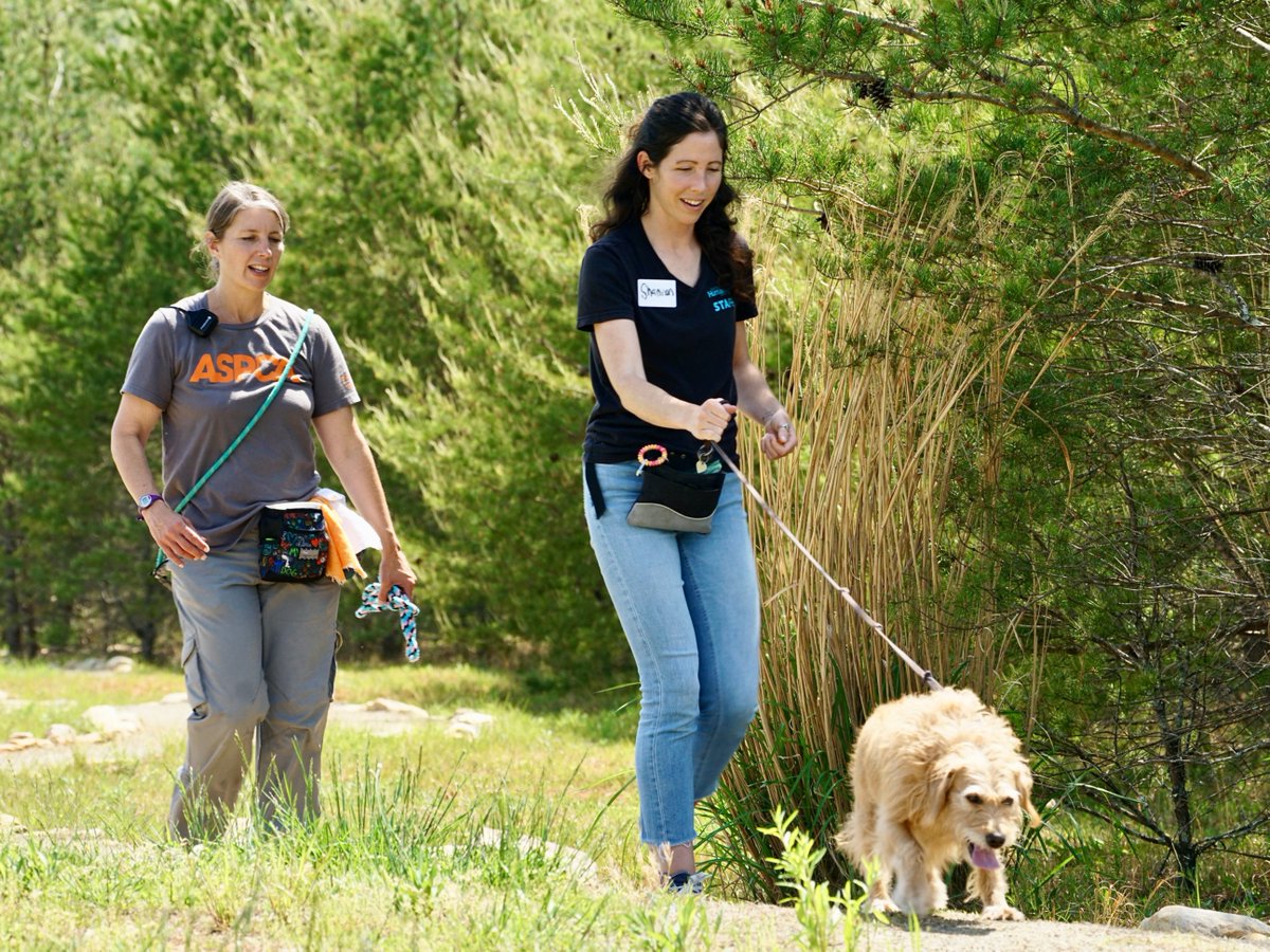 Our groundbreaking Learning Lab program offers hands-on workshops to shelter partners nationwide as well as free virtual courses via @ASPCApro! Learn about this innovative program & how it supports our partners nationwide: bit.ly/48Z70VK
🧡 @KitsapHumaneSoc @sdhumane