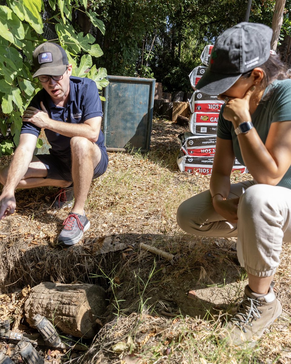 weareangelcity's tweet photo. We're on a mission to save water, so we teamed up with @gardenschoolLA, @saveourwater, and @mwdh2o to make LA more sustainable and water efficient!
Thanks to our 10% model we've supported a water audit and upgrades to the @24thElementary garden irrigation system! https://t.co/g1IFLlUyA6