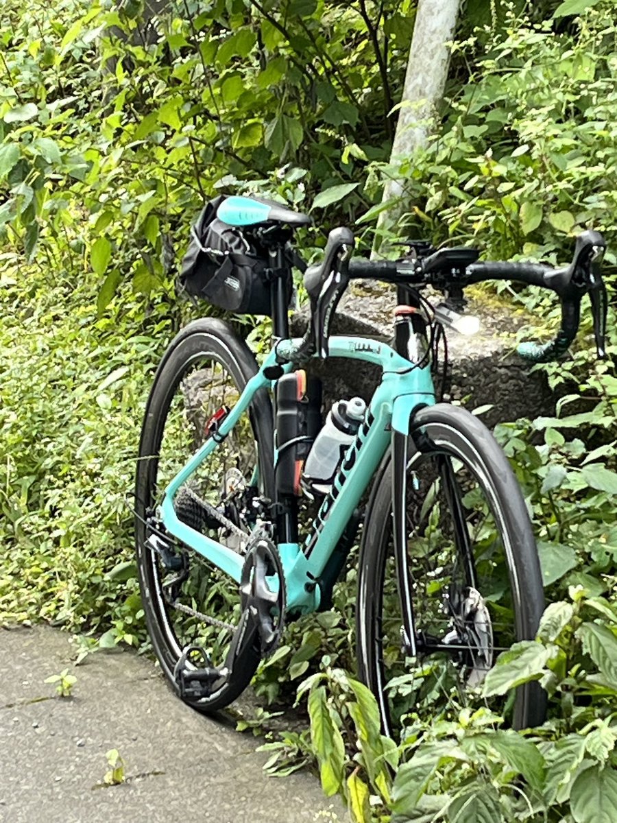 KAZ0618's tweet photo. 先週土曜日、午前中用事を済ませて、大ダルミ峠に行ってきました。🚵‍♂️かって石碑があったゴール地点は現在工事中。いつもと違う場所で撮影しましたが、ロード🚴‍♂️が🌱に埋まっています。自己ベストを1分短縮しました。 https://t.co/aHiY4yc6PP