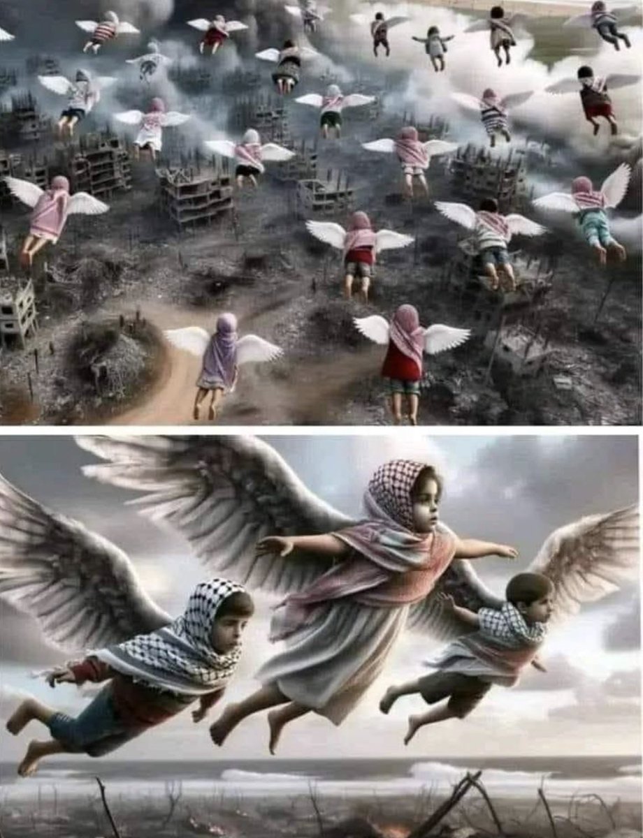 Dr.zezo 🇮🇶 (@azonat1) on Twitter photo 