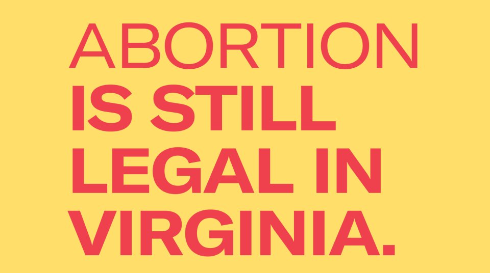 Give your money where it's most needed now -- we must flip the House in Virginia next month!

36,000,000 women in the South rely on Virginia as their last safe haven to abortion care!

We are 3 seats away from winning the House!

Chip in $15, $25 or more: voteblueamerica.com
