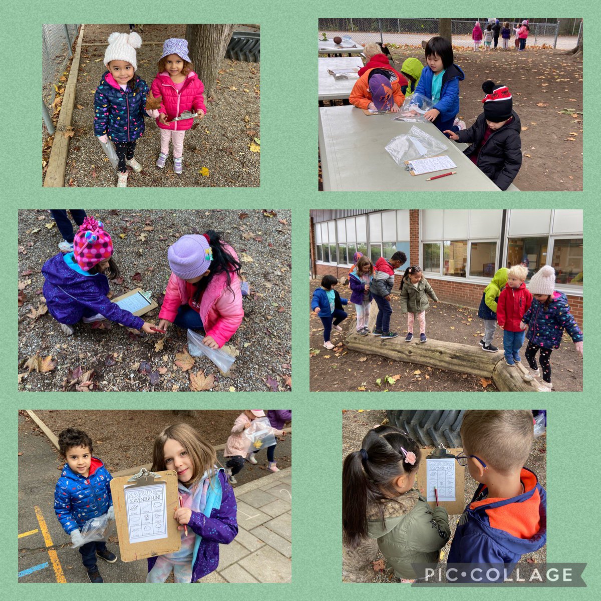 MsPuglieseOCSB's tweet photo. We took our learning outside today with a nature scavenger hunt 🍃 Ask us what we observed! @StGregoryOCSB @stgregk1friends https://t.co/Bigw7ompCe