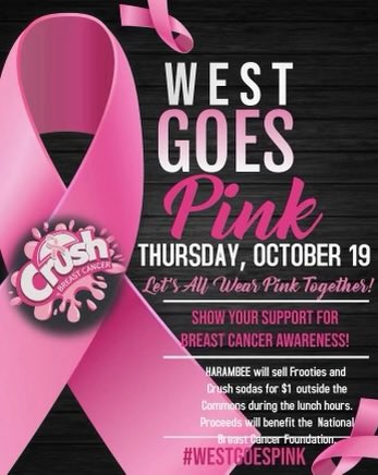 harambee1997's tweet photo. Hey y’all, we want everyone to wear pink on Thursday, October 19th. Harambee will also sell frooties and soda for  $1 outside the commons during lunch hours . Proceeds will be donated to the National Breast Cancer Foundation. 💗🎀💗 https://t.co/aHKAmPymYA