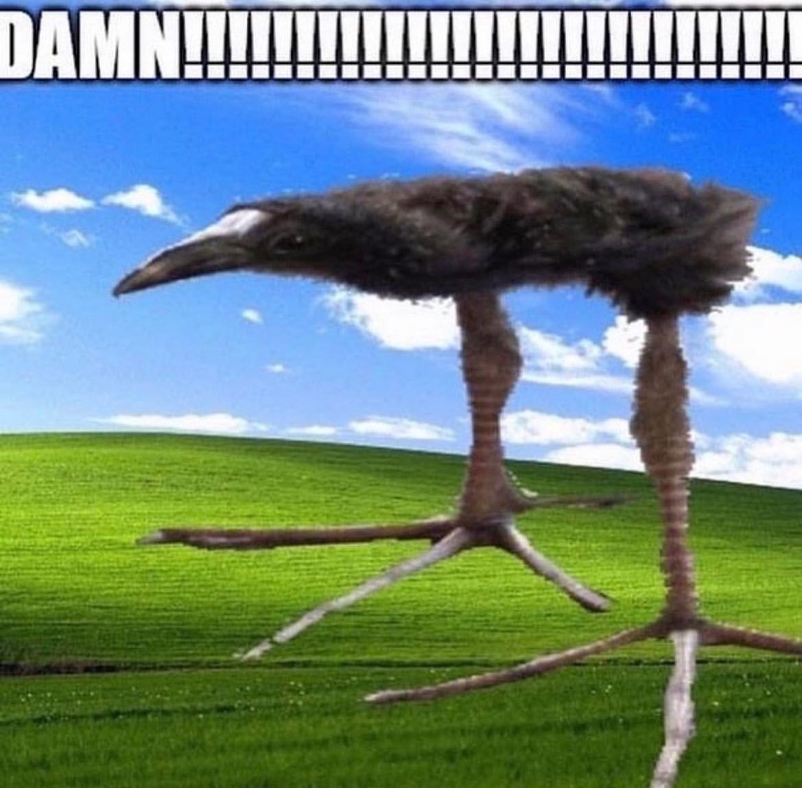 🕐HOURLY🕑 shitpost tweet media