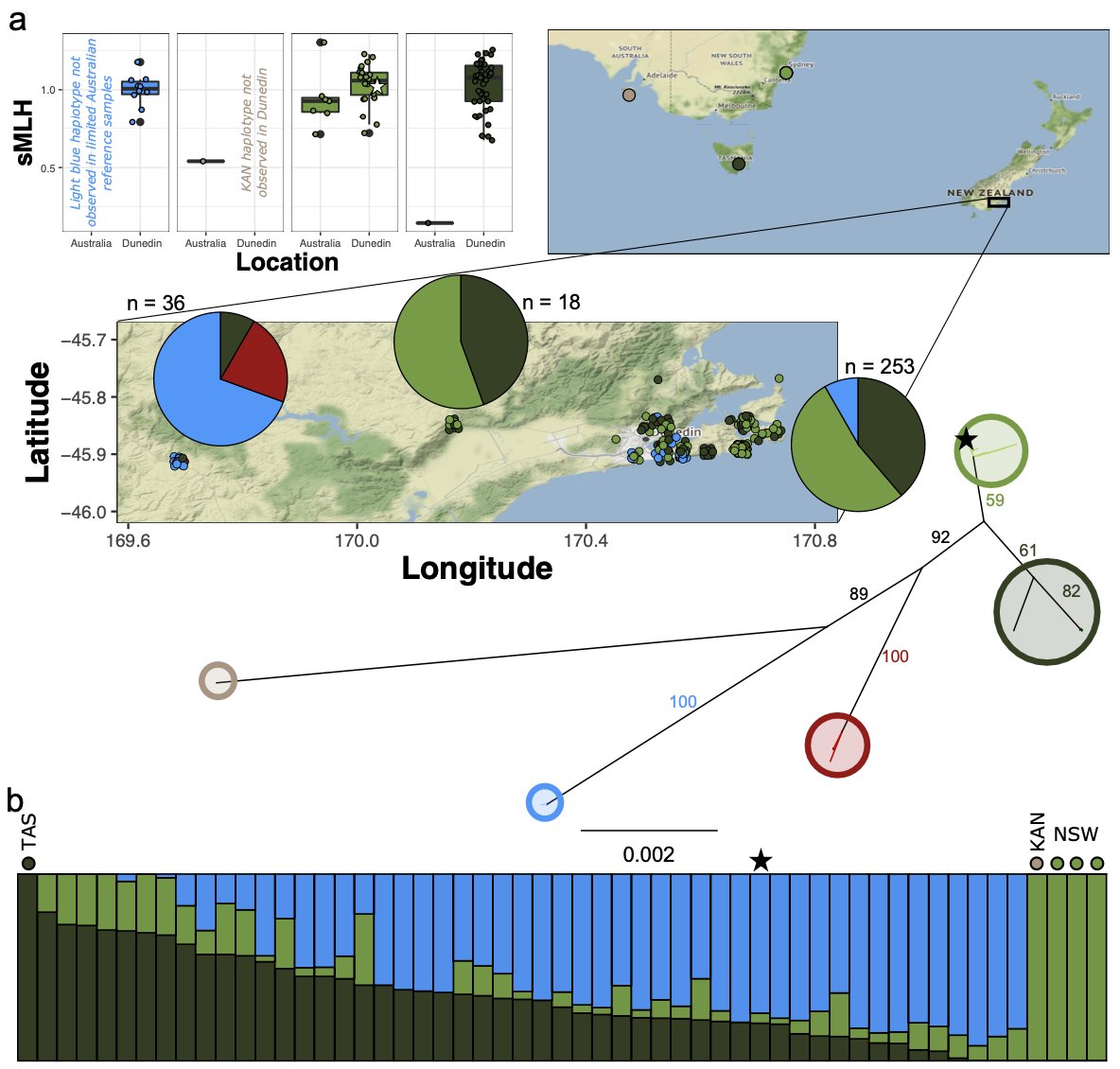 Hore lab (@epi_otago) on Twitter photo Despite NZ possums being established from just a few hundred individuals, the ones we tested had more genetic diversity than in Oz <a href="/laninsky/">Alana Alexander</a> <a href="/OscarJ_Ortega/">Oscar Ortega-Recalde</a> Despite NZ possums being established from just a few hundred individuals, the ones we tested had more genetic diversity than in Oz <a href="/laninsky/">Alana Alexander</a> <a href="/OscarJ_Ortega/">Oscar Ortega-Recalde</a>
