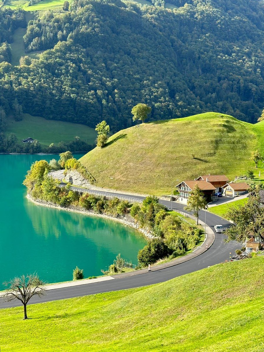 Accept sudden losses and cherish unexpected surprises. When you are feeling down and lazy, put your emotions where others cannot see them and learn to be strong.