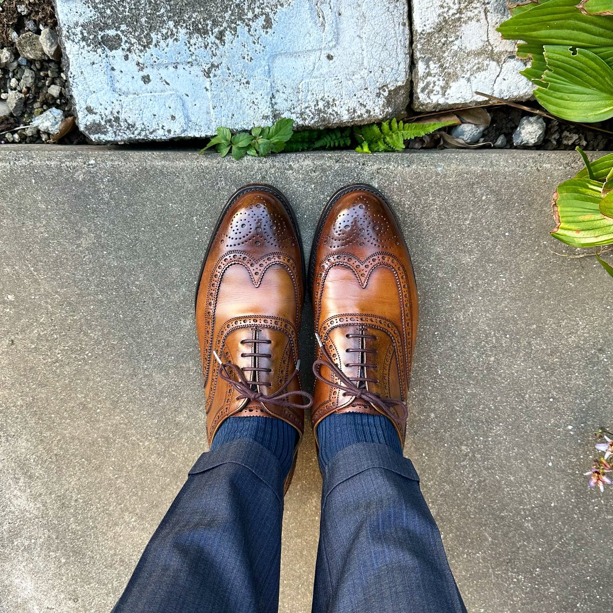 sthkzn's tweet photo. Cheaney
今日は外の方と会う予定がないので、久しぶりにこちらを履きました。130周年モデルのREGENTです。
ハンドペイントの濃茶だったのが、黄土色になってます。
#cheaney #cheaney130 #shoes #mensshoes #sotd #shoesoftheday #チーニー #紳士靴 #革靴 #今日の足元 https://t.co/aHqg4TSbKH