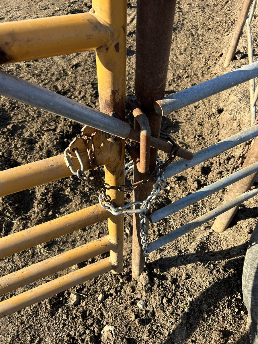 Derek Pohl tweet media