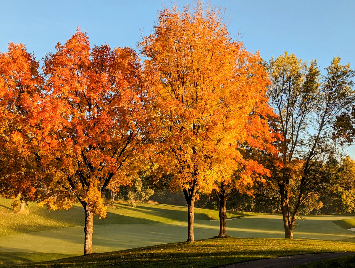 theclubgv's tweet photo. No need to drive up north. Your fall colors are here! 🍂 
#fall #getgolden #fallcolors https://t.co/hIxfa9lrB9