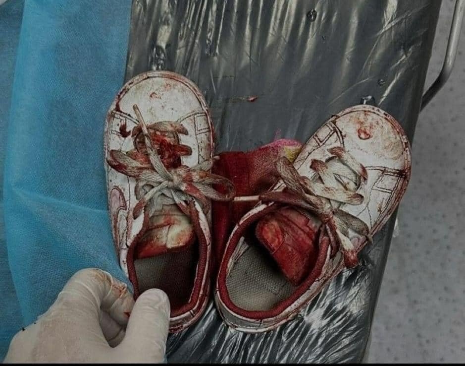 kamal sharaf كمال شرف tweet media