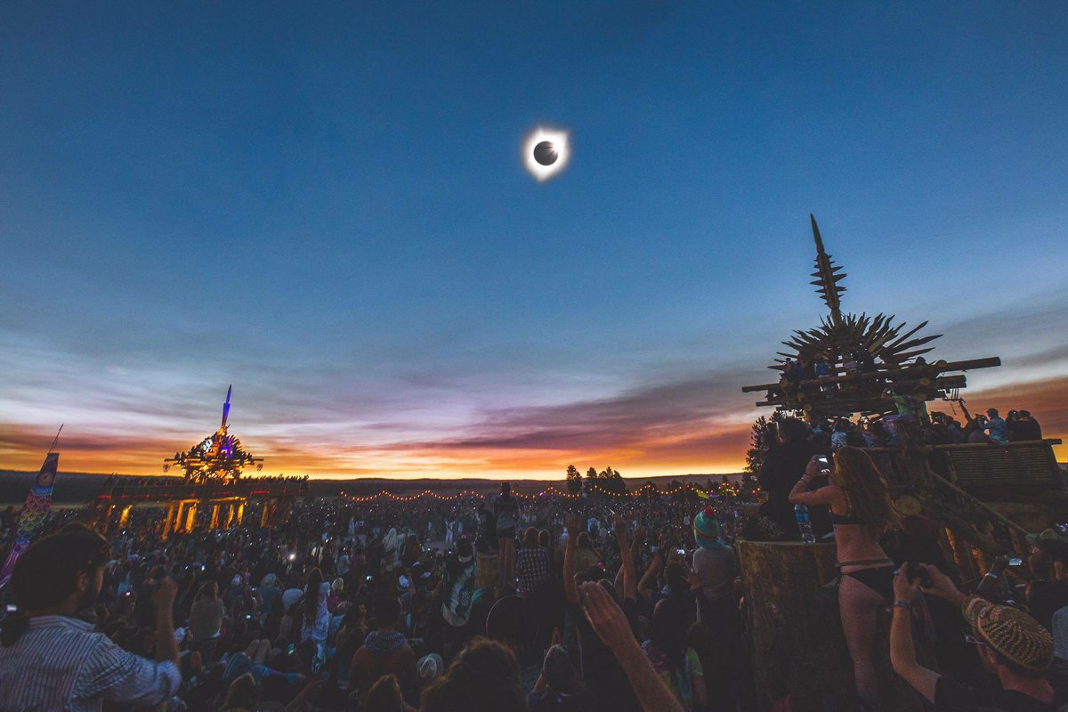 Mikey Lion tweet media