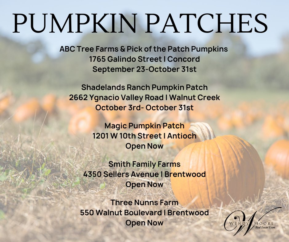 Discover the finest pumpkins, exciting activities, and family fun all month long. Don't miss out on the best pumpkin patches near you! 🍁🧡

#PumpkinPatch #OctoberAdventures #WendyMooreRealEstateTeam
