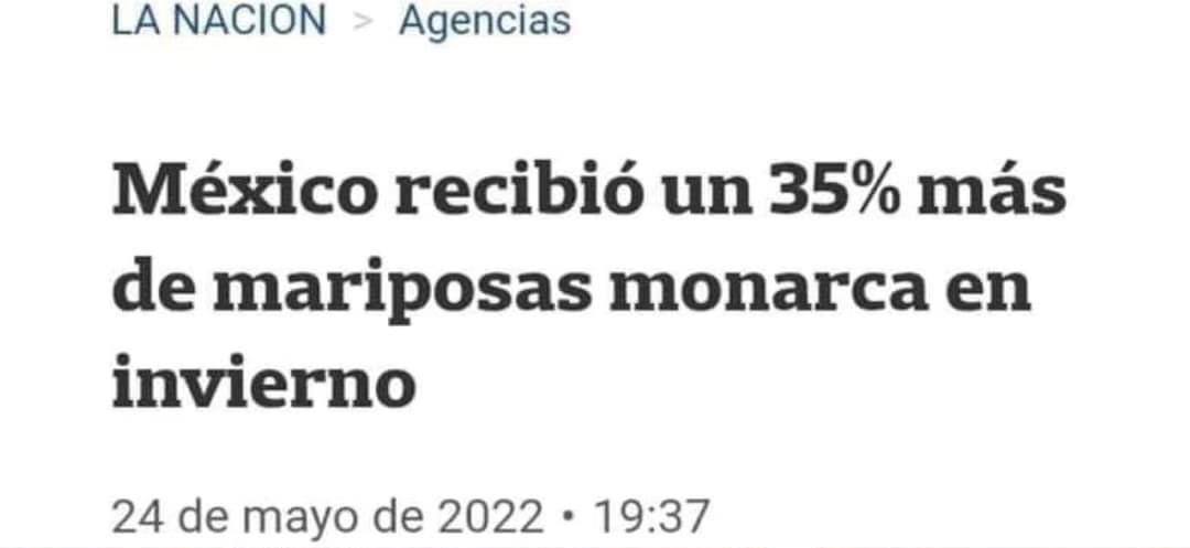 Homero Gómez no se murió, simplemente se convirtió en mariposas.