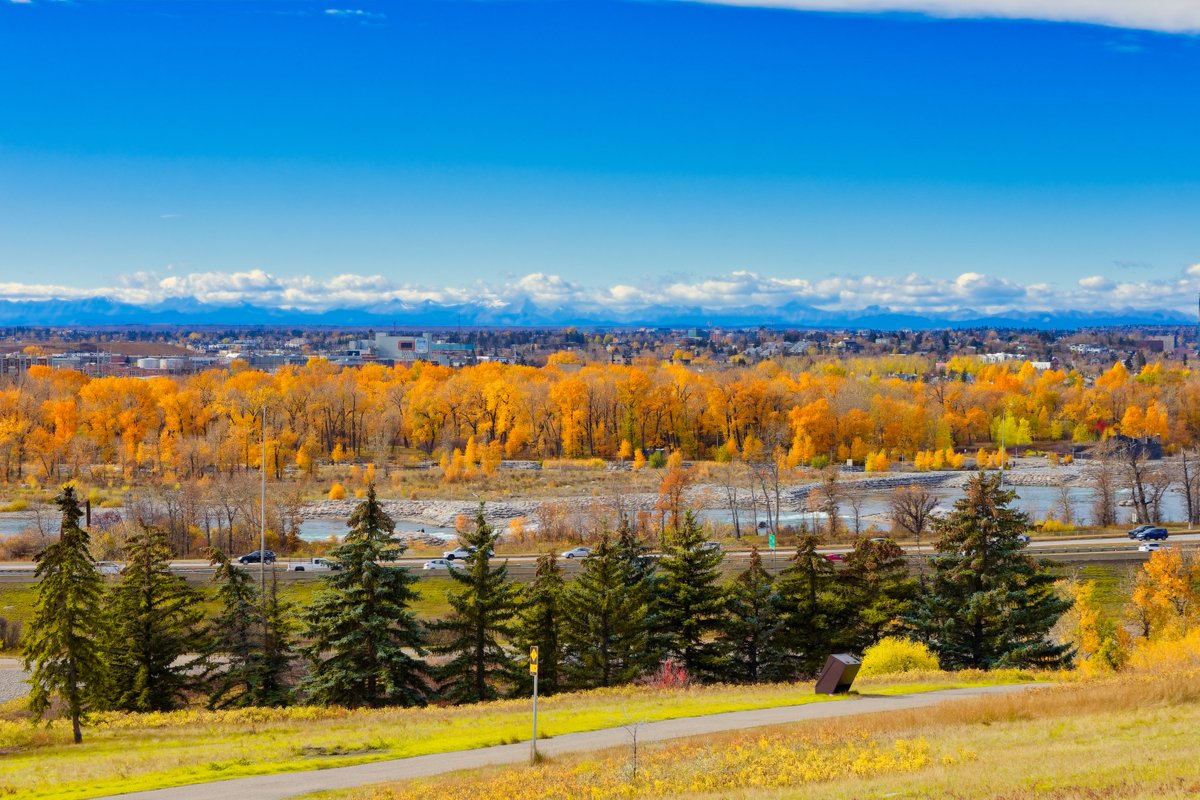 The Downtown Calgary skyline and fall colours as seen from the hill above Max Bell Centre.  #calgary #alberta #downtowncalgary #skyline #nature #landscapes #maxbellcentre #bowriver #fall #autumn #fallcolours #yellowleaves #orangeleaves #hdr #hdredit #aurorahdr