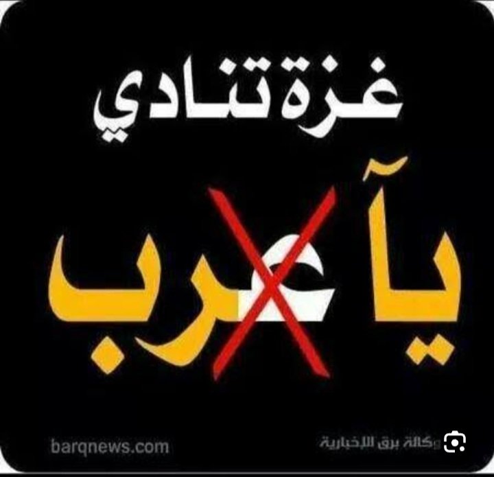 gehanal30828362's tweet image. 