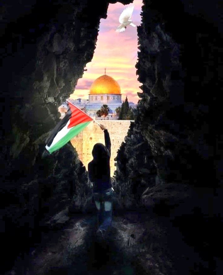 OS__0's tweet photo. لا حول ولا قوة الا بالله 

 #Gaza_Genocide https://t.co/JUo2wHyuhS