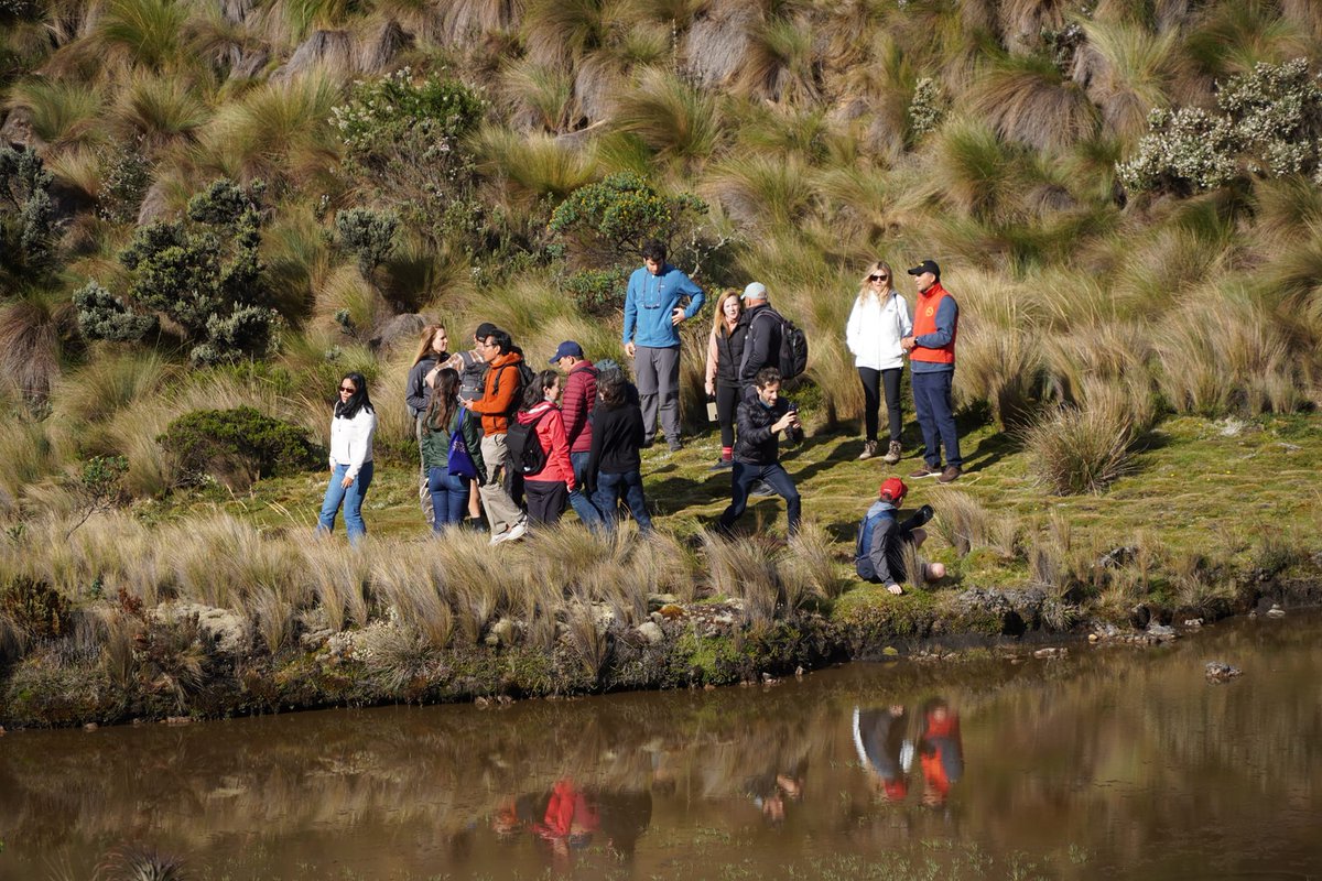 CuencaTurismoEC's tweet photo. 📷 #REMOTECUENCA2023 | Parque Nacional el Cajas
📷Más de 250 operadores turísticos realizaron senderismo en el Cajas 📷 y quedaron encantados con su magia 📷📷 https://t.co/S8p255SCza
