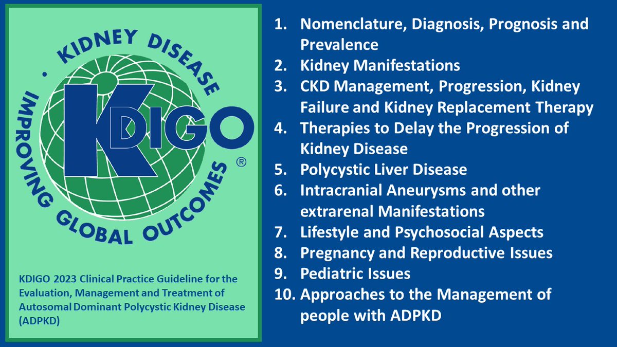 The Clinical Practice Guideline for the Evaluation, Management and Treatment of Autosomal Dominant Polycystic Kidney Disease from @goKDIGO is out for public review ‼️ #KDIGOADPKD #Nephpearls 📌 Submit comments by Nov 17 🗓️ 👉 kdigo.org/guidelines/aut…