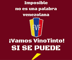 Los chilenos saben de vino, pero nosotros sabemos de *VINOTINTO*