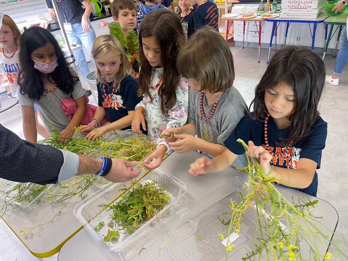 Debbie Alspach tweet media