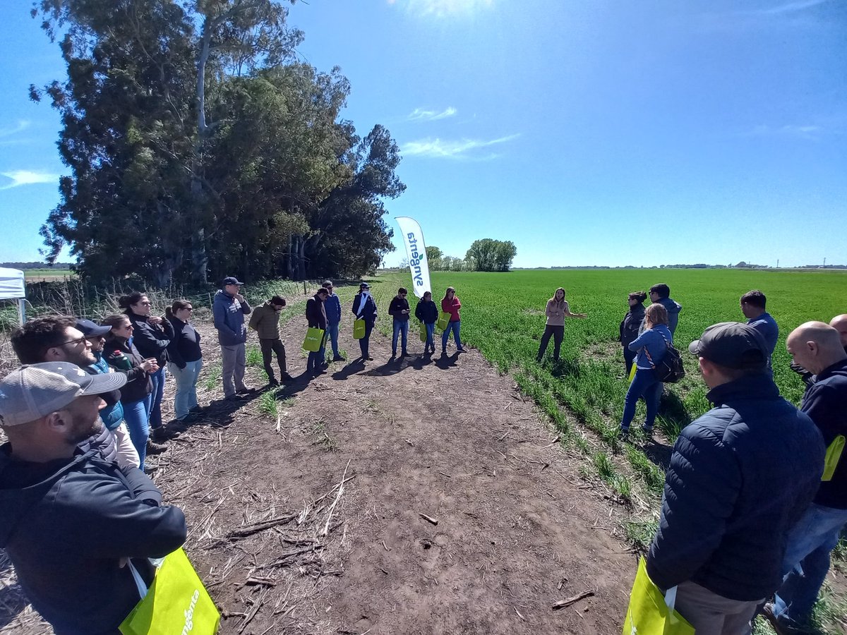 Mati_flores22's tweet photo. 🚍 Primer día de la fungineta 🍄con  paradas en🌾
📍Azul
📍Tandil
 excelente intercambio, con problemáticas diferentes y la sencillez de  @ritarobledo.
  Mañana nos esperan 
📍Balcarce y 📍Loberia.
Subite al 🚍🌾🍄🚦
@Syngenta_ar
@JonatanMauro1 @IgnaciaColavita https://t.co/96EPmrzOfY
