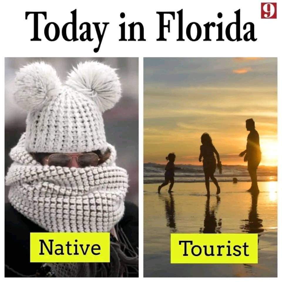 riananicole's tweet image. Convo at work today...
Me: IT'S SO F-N COLD
Boss: You know you work at an outdoor venue 
Me: Well, I was also born and raised and still currently live in Florida, and this weather is disrespectful #ColdAF